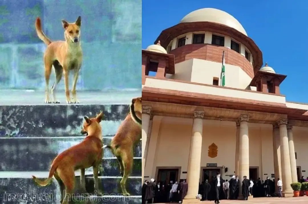 Representative Image- Supreme Court | Photos: Mathrubhumi, ANI