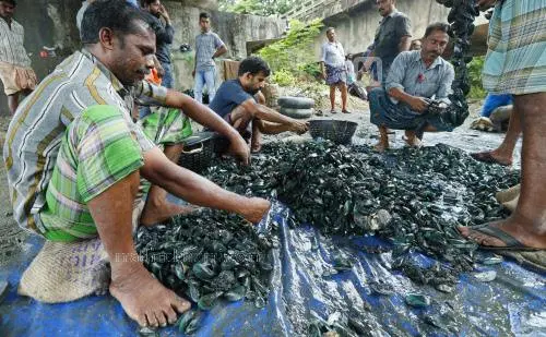Mussels or Kallummakaya | Photo: Sajan V Nambiar