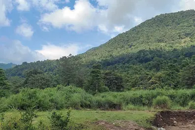 Preliminary notification issued for land acquisition for proposed AIIMS project in Kinalur
