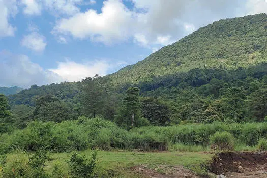 Preliminary notification issued for land acquisition for proposed AIIMS project in Kinalur