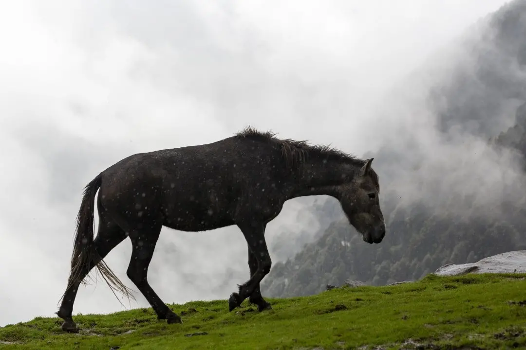 Representational Image | Photo: AP
