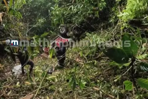 Car falls into gorge in Ponmudi, four tourists rescued