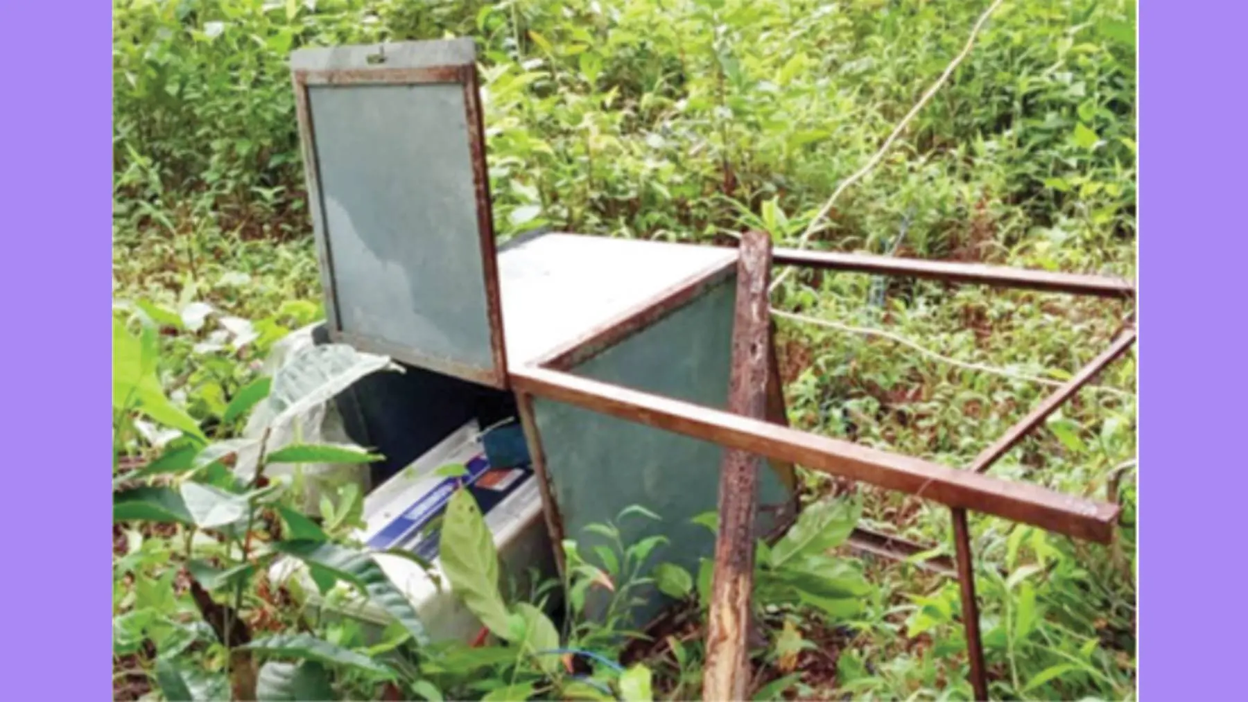 Solar fence destroyed by the wild elephant.