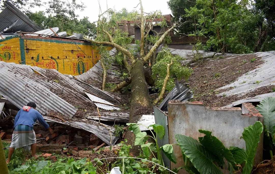A house damaged by a tree uprooted in Cyclone Amphan in West Bengal (photo: PTI)