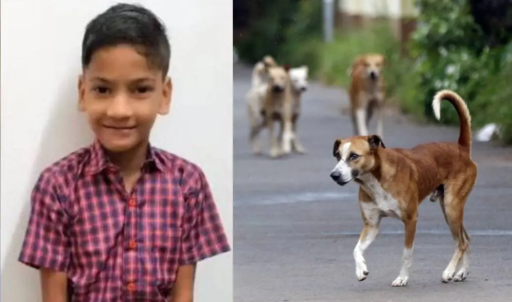Nihal who was killed in stray dogs attack.