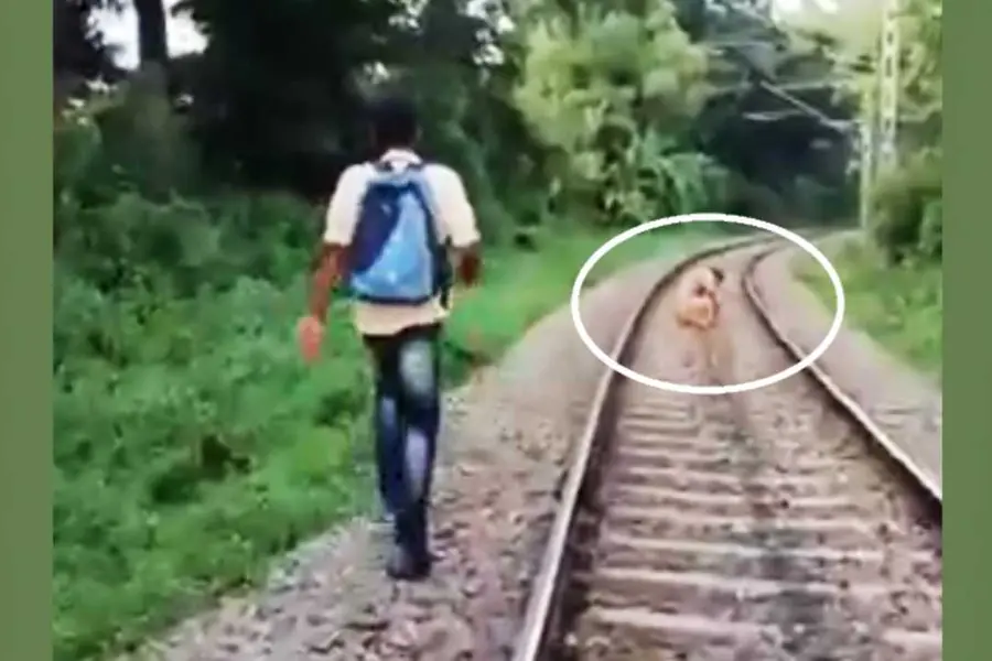 Watch: Alert loco pilot rescues drunk man sleeping on railway track ...