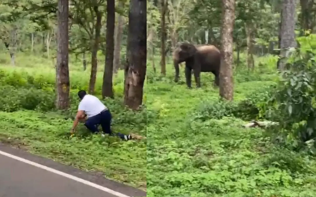 Visual of the incident