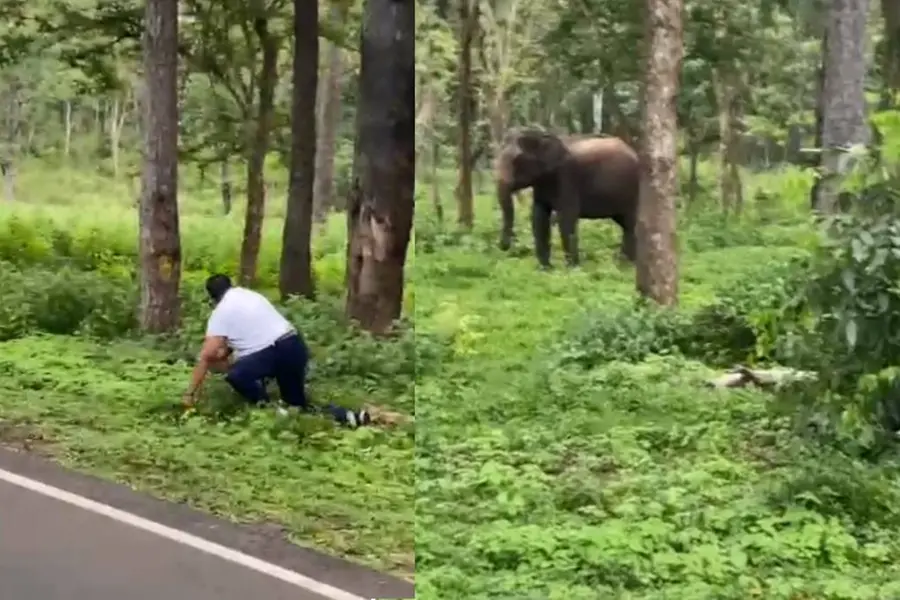 TN man flouts norm, makes narrow escape from charging tusker at Muthanga