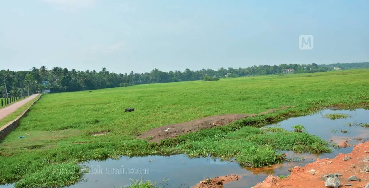 Representational Image | Mathrubhumi archives