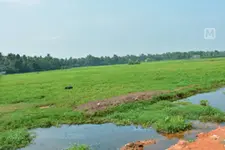 ഡേറ്റാ ബാങ്കിൽനിന്ന് ഭൂമിമാറ്റൽ; ഇനി നിരീക്ഷണ സമിതി ശുപാര്‍ശ വേണ്ട