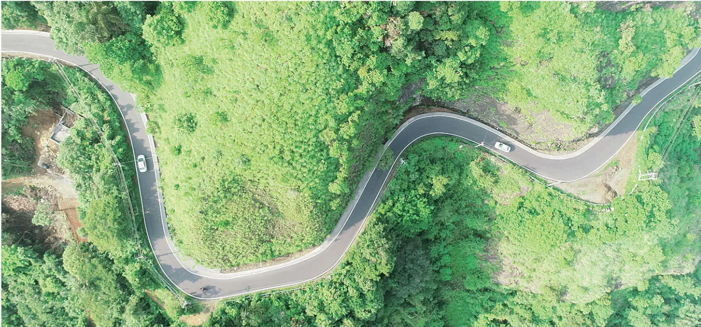 Erattupetta-Vagamon Road | Photo: Mathrubhumi