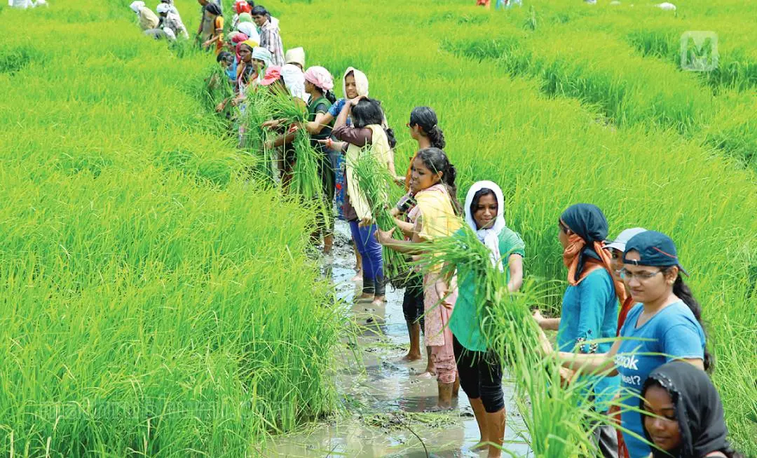 Photo: Mathrubhumi