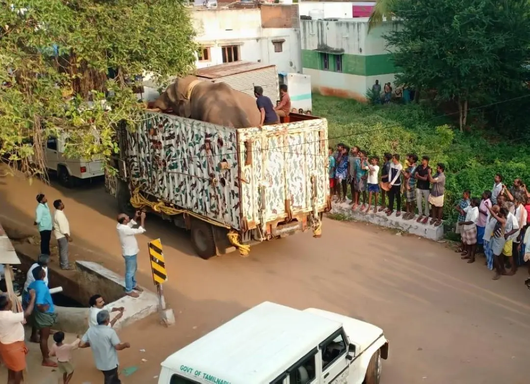 Arikomban being taken to forest in Tamil Nadu | Photo: Mathrubhumi / Sreejith PR
