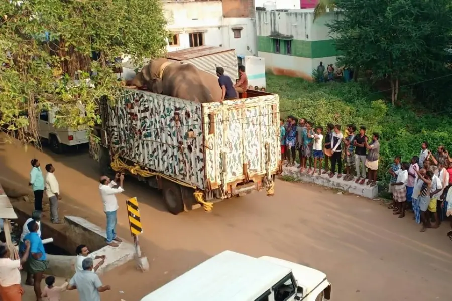 TN Forest Dept to release Arikomban into forest today; Madras HC grants approval