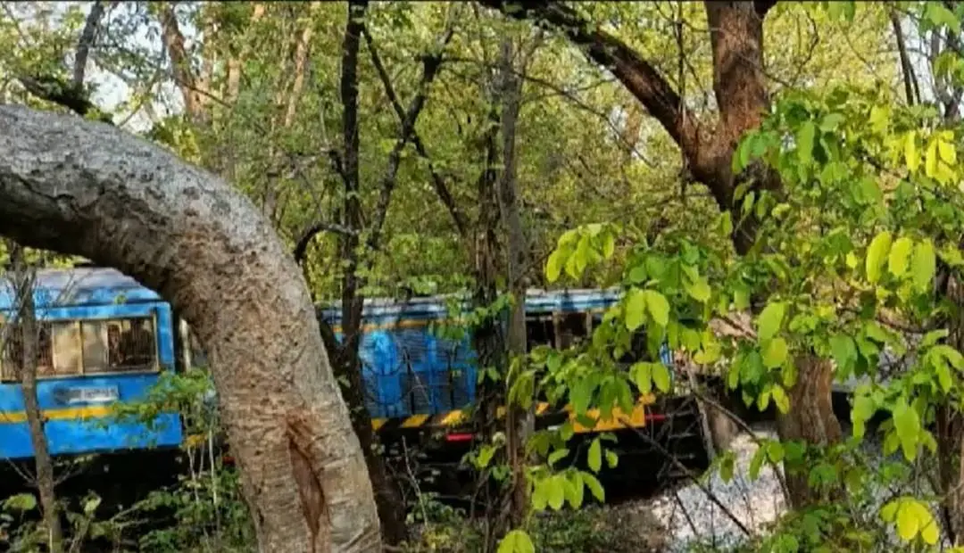 ഒഡിഷയില് ഗുഡ്സ് ട്രെയിന് പാളം തെറ്റിയുണ്ടായ അപകടത്തിന്റെ ദൃശ്യം | Photo: Screengrab