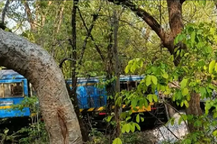 ഒഡിഷയില് സ്വകാര്യ സിമന്റ് ഫാക്ടറിയുടെ ചരക്ക് തീവണ്ടി പാളംതെറ്റി, ആളപായമില്ല | VIDEO