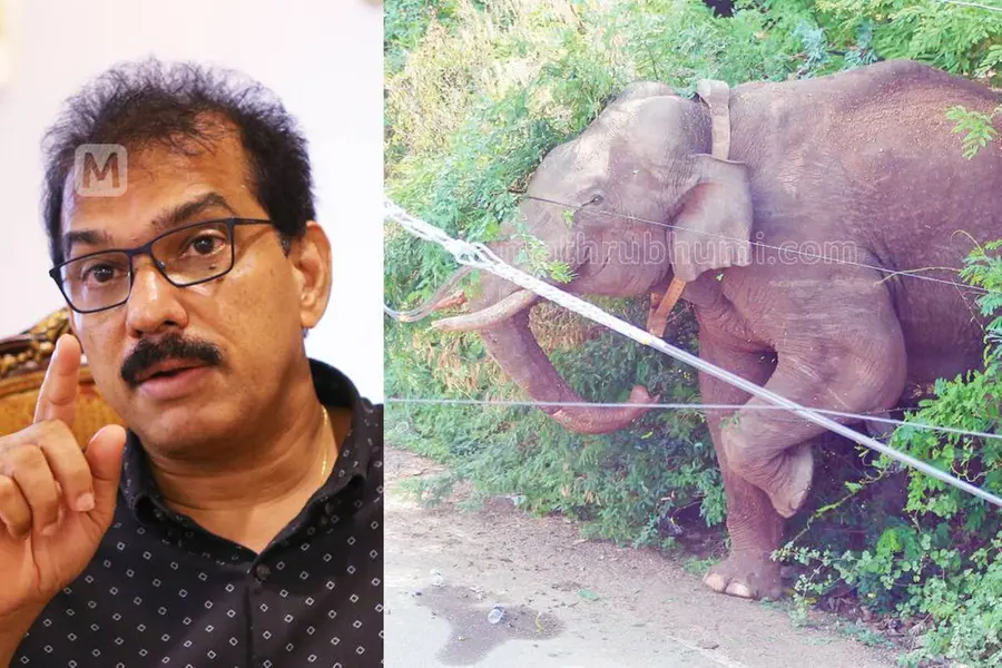 ഉദ്ദേശ്യമെന്ത്? ഉള്‍ക്കാട്ടില്‍ പോയിട്ടുണ്ടോ; അരിക്കൊമ്പന്‍ ഹര്‍ജിയില്‍ സാബുവിന് രൂക്ഷ വിമര്‍ശം