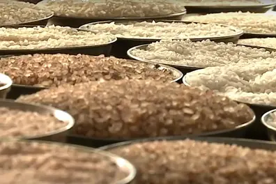 Price Hike: Malayalis spend Rs 780 cr in last 3 months to procure rice