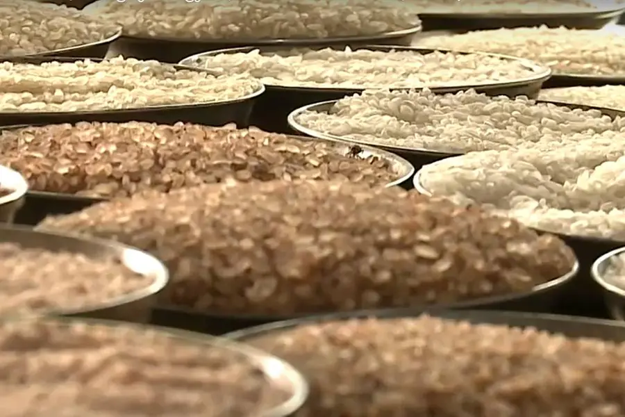 Price Hike: Malayalis spend Rs 780 cr in last 3 months to procure rice