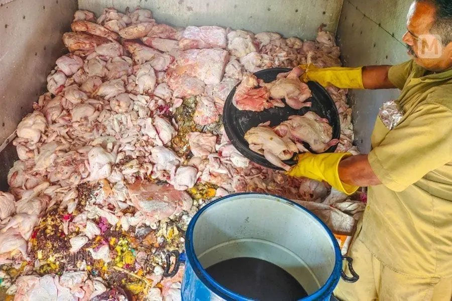 49 hotels bought chicken from Kalamassery shop from which 500 kg stale meat recovered