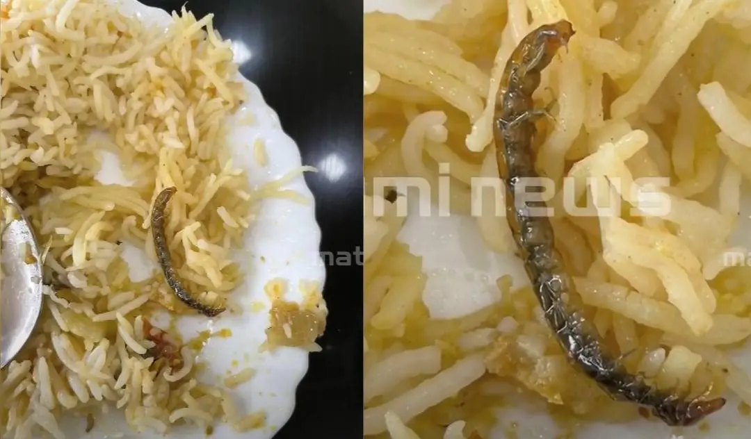ബിരിയാണിയില് നിന്നും കണ്ടെത്തിയ പഴുതാര