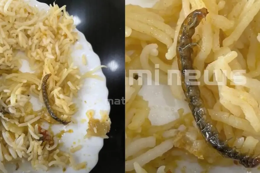 ബിരിയാണിയില് പഴുതാര, അടുക്കളയില് എലിയും എലിക്കാഷ്ഠവും; ഭക്ഷ്യസുരക്ഷാ വകുപ്പ് ഹോട്ടല് പൂട്ടിച്ചു