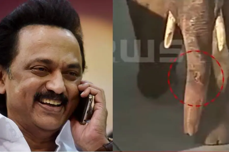 Stalin orders to capture Arikomban, activists to approach SC; trunk injured while damaging vehicles