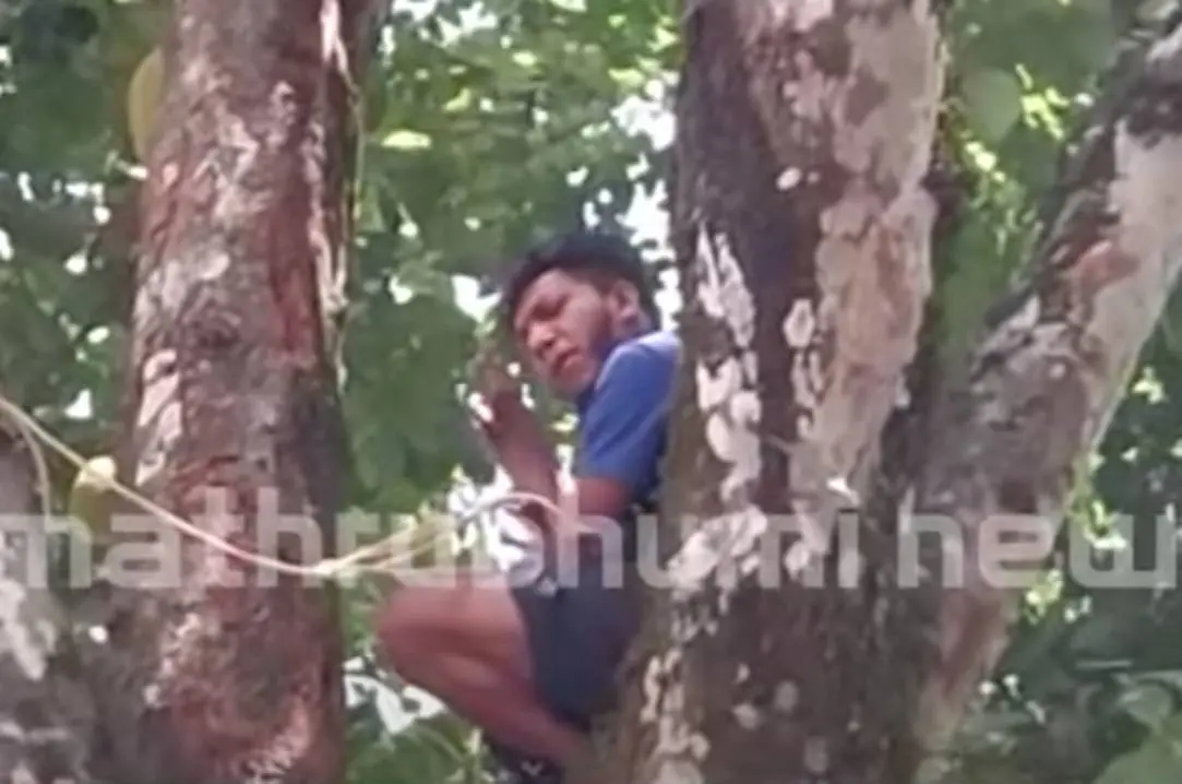 Sarun Saji | Photo: Screengrab from Mathrubhumi News