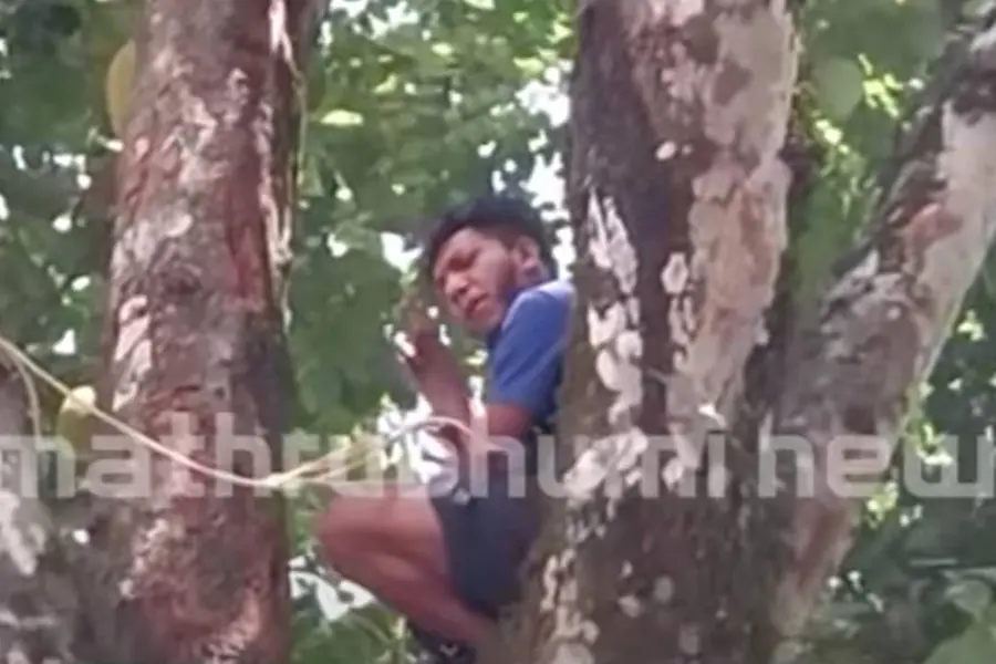 False case: Idukki tribal youth issues suicide threat after reinstatement of suspended officials