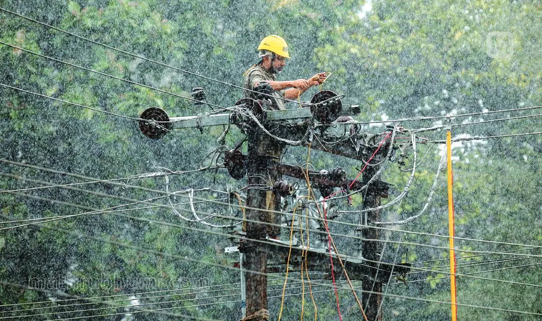 Representative image | Photo: Mathrubhumi