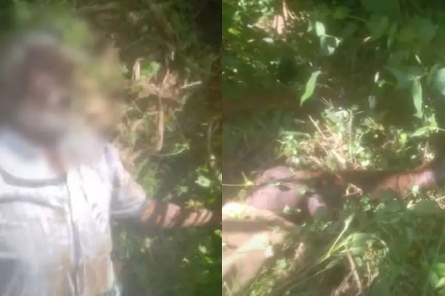 Farmer killed in wild jumbo attack in Thodupuzha