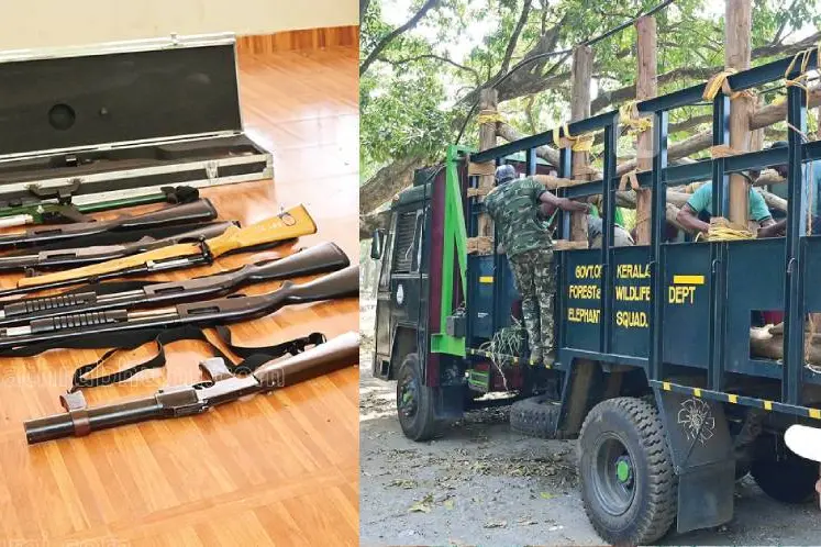 Fully equipped rapid response team enters forest to trap PT 7