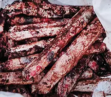 The gelatin sticks found in the school / Photo: Mathrubhumi