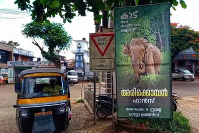 Arikomban fans form association; Flex board installed at Anakkara