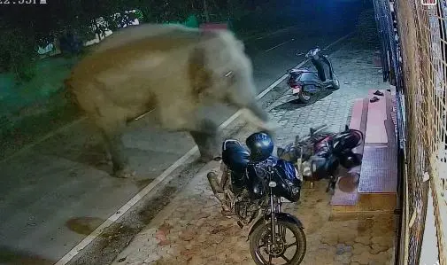 Screenshot from CCTV visual of the incident