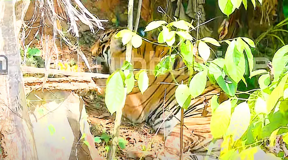 Photo: Mathrubhumi