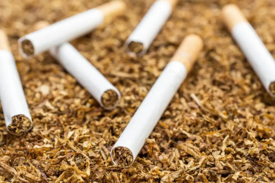 Tobacco use higher than state average in Wayanad; district authorities intervene