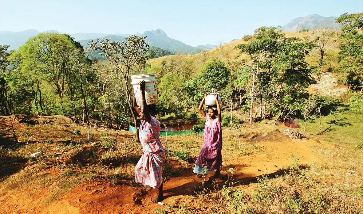 People living in Velappankandi carrying drinking water to their houses | Photo: Mathrubhumi