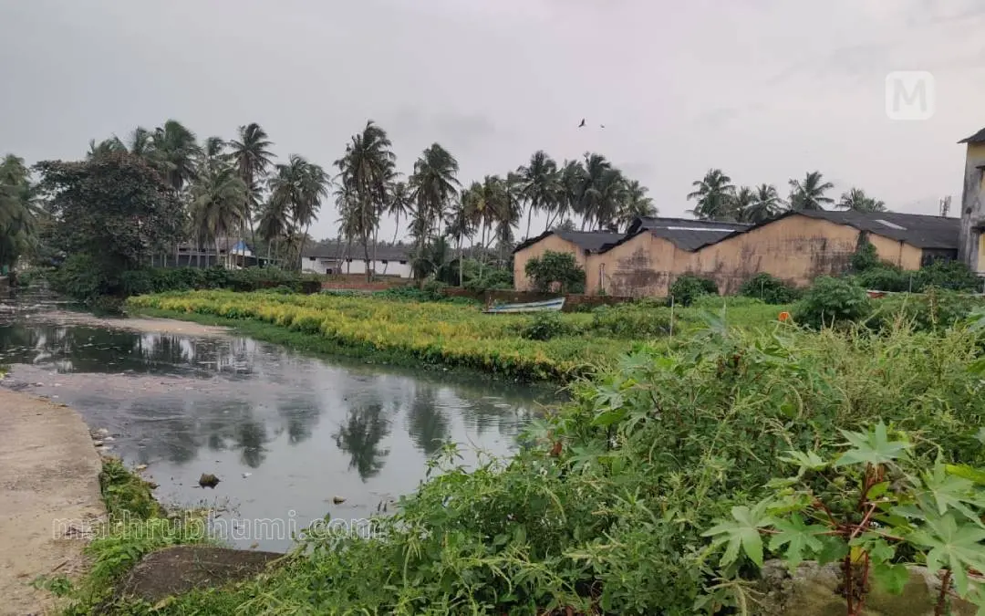 Photo: Jithesh