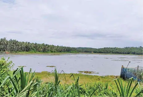 Narayanan Chira