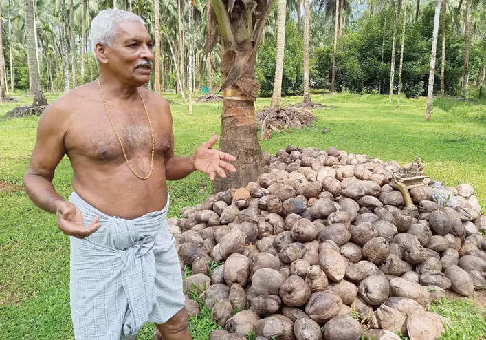 Abraham Mathew explaining the woes of being involved in agriculture