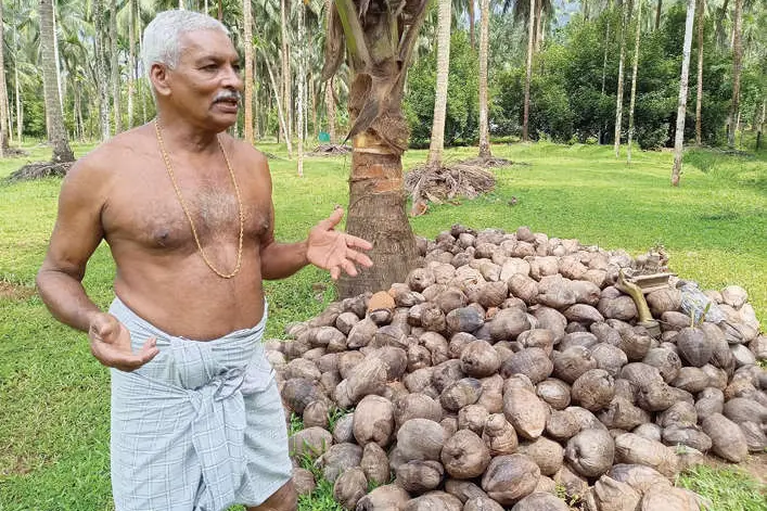 State award winning coconut farmer in Kozhikode opts to quit agriculture