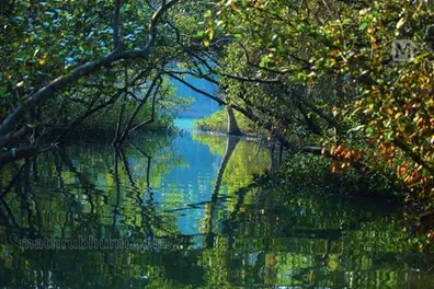 From bird sanctuary to heritage site…Kadalundi hides vivid insights for tourists