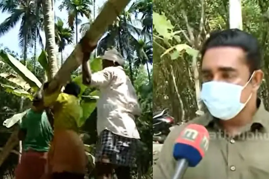 Dispute with trade union workers, HC pronounces verdict in favour of areca nut palm owner