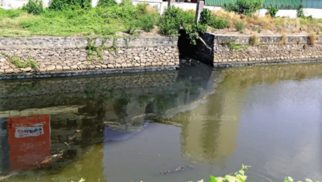 Conolly Canal. Photo: KK Santhosh/Mathrubhumi Archives