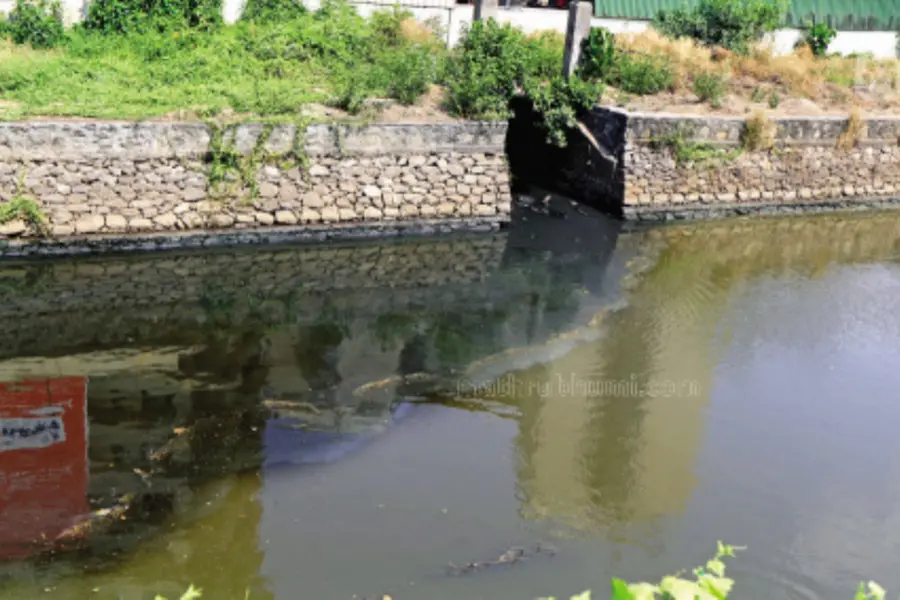 Conolly Canal to get a facelift as a major waterway, cabinet approves project worth Rs 1118 cr