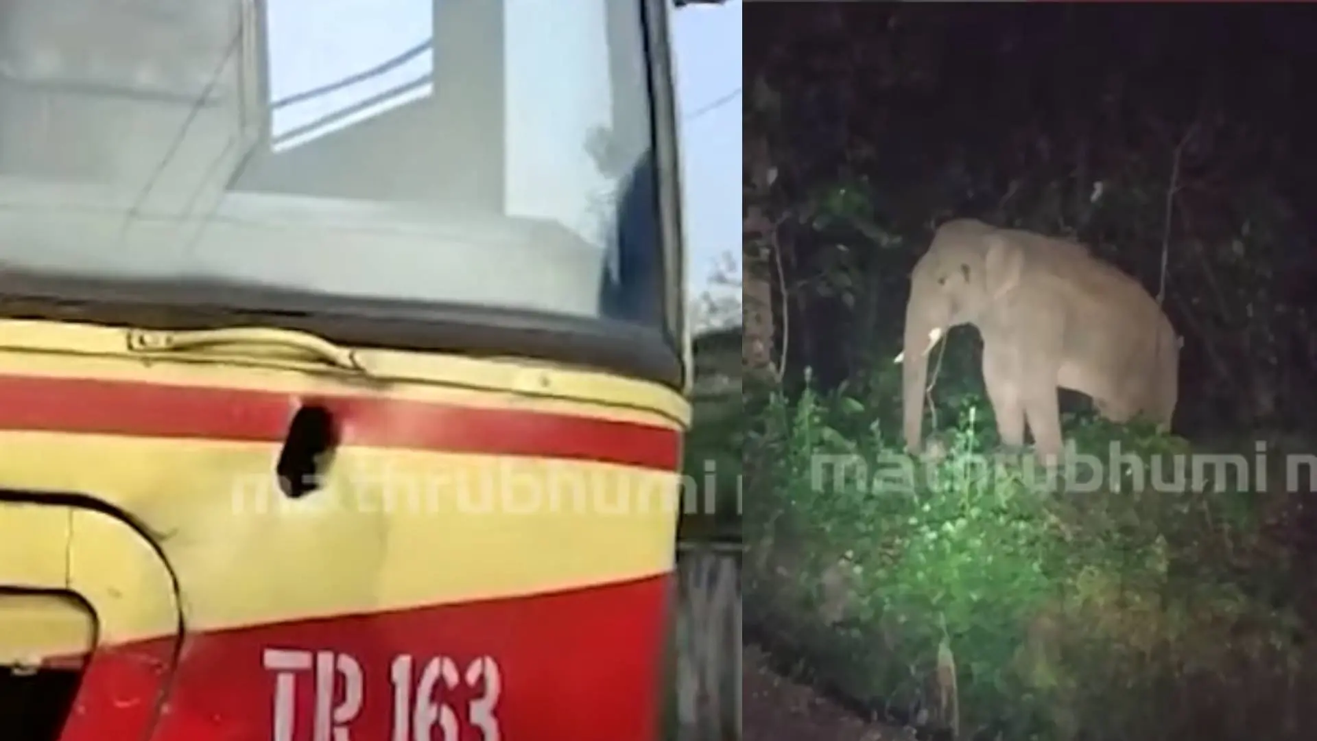 KSRTC, Elephant Kabali | Photo: Screengrab/ Mathrubhumi News
