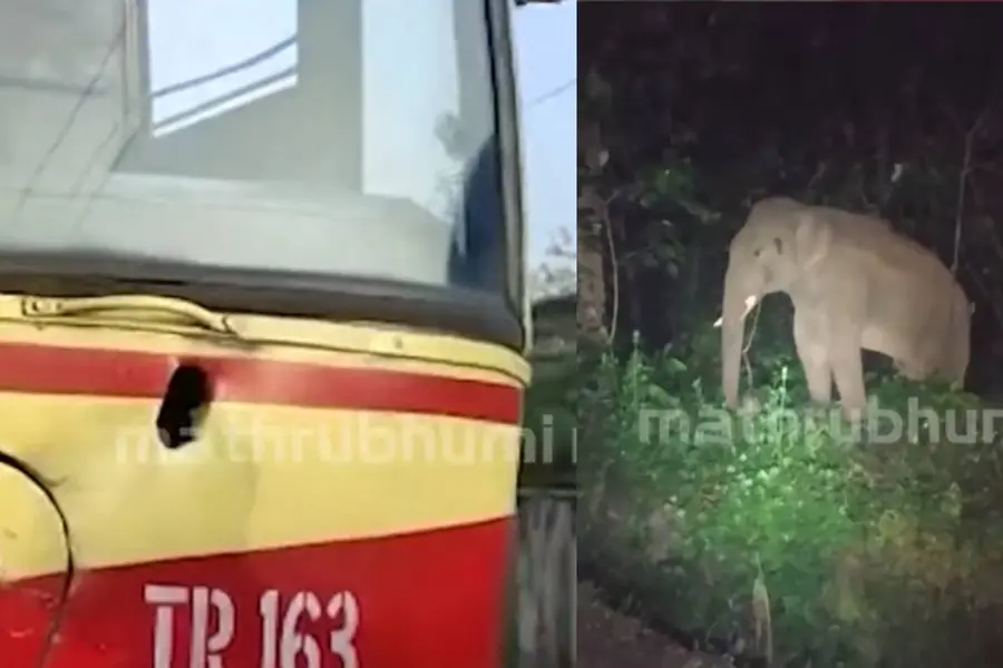 Wild tusker attacks KSRTC bus in Chalakudy again