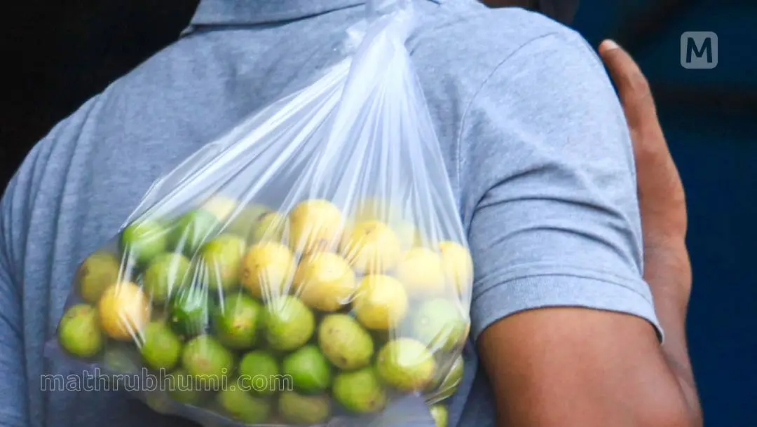 Representative image | Photo: Mathrubhumi