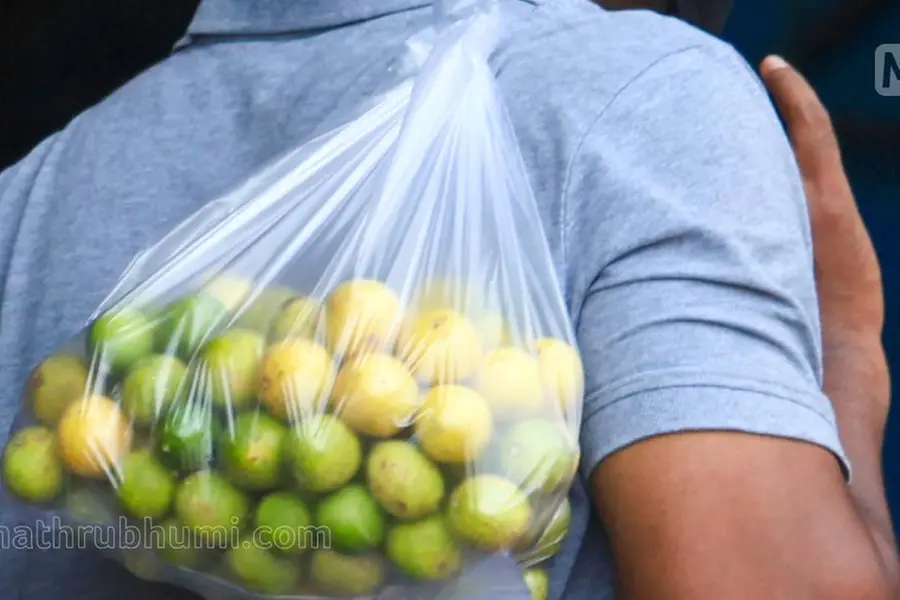 Ban on single-use plastic not effective even after 1 yr
